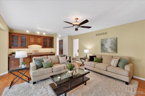 Tiny photo for 1347 Cherry Glen Court, Chesterfield, MO 63017 (MLS # 26021798)