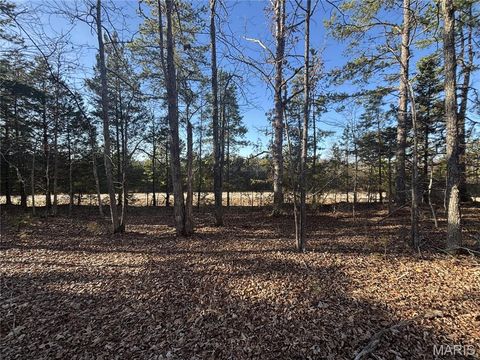 000 State Highway M Silva MO 63964