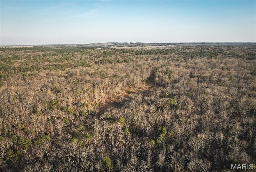 This beautiful 40.63 acre property is a secluded and mostly wooded tract, just south of Licking, MO. It features gently rolling terrain and mature, untouched timber. Loaded with wildlife including deer and turkey, it's an excellent recreational tract or hunting getaway. With potential build sites, it's also a great location for a dream home. A 24' x 32' shed is already in place for storage or a starting point for future improvements. Located just 1.5 miles off Hwy 63 and 40 minutes south of Rolla, MO, this property combines privacy, natural beauty, and versatility. With its great location, it makes it easy to enjoy Montauk Sate Park, the  Big Piney River, and Mark Twain National Forrest, providing endless opportunities for hunting, fishing, floating, and hiking. Don't miss your chance to own a piece of the Ozarks!