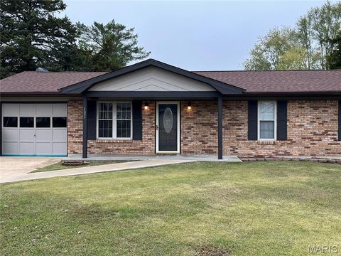 121 Mervin Street Sullivan MO 63080