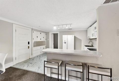 Tiny photo for 5103 Waterman Boulevard, St Louis, MO 63108 (MLS # 26018872)