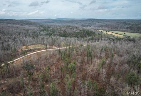 Tiny photo for 000 County Road 410, Fredericktown, MO 63645 (MLS # 26020513)