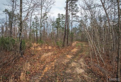 Tiny photo for 000 County Road 410, Fredericktown, MO 63645 (MLS # 26020513)