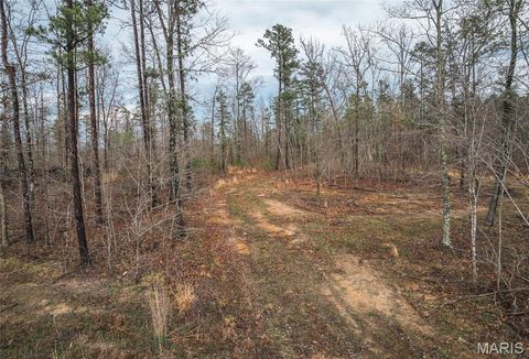 Tiny photo for 000 County Road 410, Fredericktown, MO 63645 (MLS # 26020513)