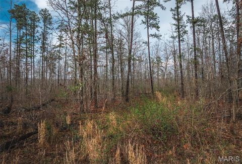 Tiny photo for 000 County Road 410, Fredericktown, MO 63645 (MLS # 26020513)