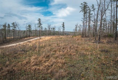 Tiny photo for 000 County Road 410, Fredericktown, MO 63645 (MLS # 26020513)