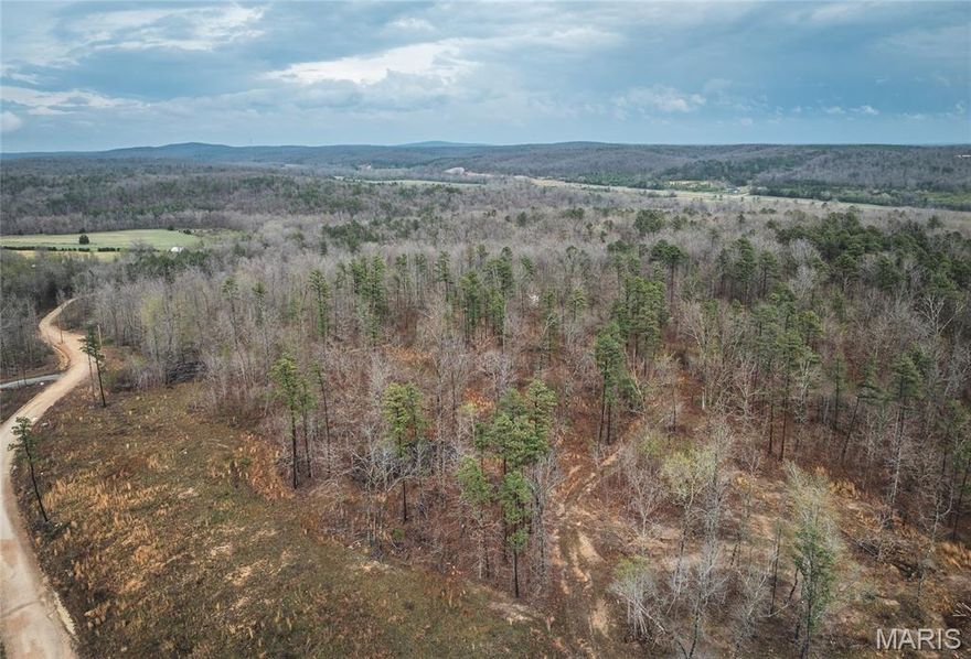 Discover your own slice of the Ozarks with this beautiful 18-acre property just south of Fredericktown, Missouri. Conveniently located a short distance from Highway 67, this tract offers easy access for commuting while still providing the peace and privacy of the countryside. The land features fairly level terrain, making it highly usable for a variety of outdoor activities including hiking, trail riding, and hunting. Whitetail deer and wild turkey are plentiful, making this a great recreational getaway or future homesite for the outdoor enthusiast. Electric is already on site, giving you a head start on building your dream cabin or full-time residence. Just to the south, crystal-clear Twelve Mile Creek adds to the property’s charm, with access to a scenic gravel bar—perfect for relaxing, picnicking, or cooling off on warm days. Whether you’re looking for a weekend retreat or a place to put down roots, this property offers the perfect blend of convenience, natural beauty, and recreational opportunity. Come take a look today!