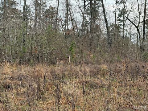 Tiny photo for 000 County Road 410, Fredericktown, MO 63645 (MLS # 26020513)