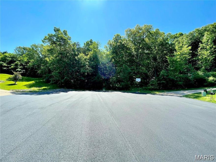 NEARLY an ACRE building lot in Eagles View Estates!  Your new home can be nestled among the trees at the end of a cul-de-sac! Beautiful homes line the streets of this subdivision and the street has been recently paved! Come have a look and picture your new home right here!