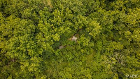 Tiny photo for 2164 Wayne 220 b Road, Silva, MO 63964 (MLS # 26020894)