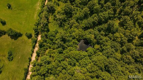 Tiny photo for 2164 Wayne 220 b Road, Silva, MO 63964 (MLS # 26020894)