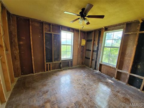 Tiny photo for 2164 Wayne 220 b Road, Silva, MO 63964 (MLS # 26020894)
