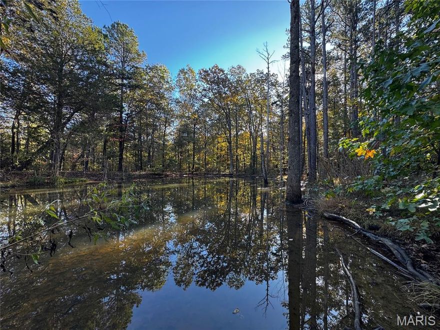 Discover the potential with this property situated on a beautiful 11± acres featuring a peaceful pond and a mix of open and wooded ground. The home is in need of major repair or possible teardown, offering a great opportunity for someone looking to build their dream home or weekend retreat on a truly scenic piece of land. With utilities already on site and easy access from the road, much of the groundwork is in place. Whether you're looking for a project, investment, or the perfect setting to start fresh, this property has endless potential.