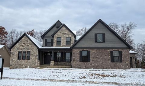 Photo of 16641 Wycliffe Place Drive, Wildwood, MO 63005 (MLS # 25079149)