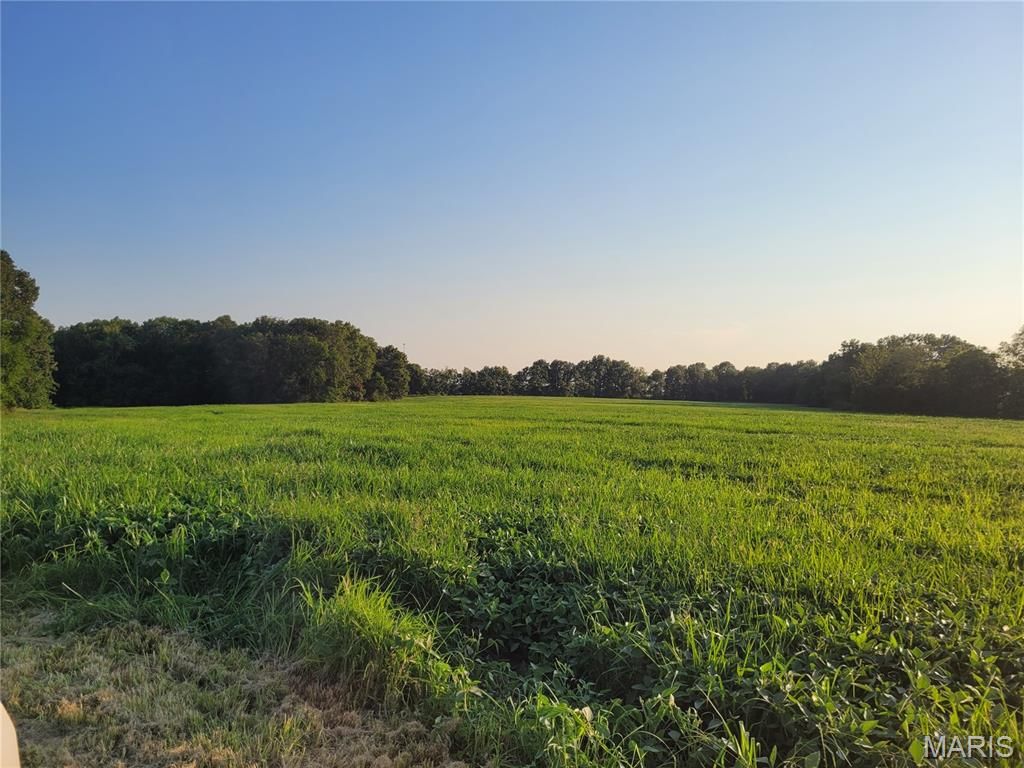 Photo of 0 Hwy DD (46+/- Ac) Tract F, Bellflower, MO 63333 (MLS # 26004409)