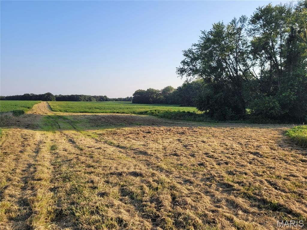 Photo of 0 Hwy DD (46+/- Ac) Tract F, Bellflower, MO 63333 (MLS # 26004409)