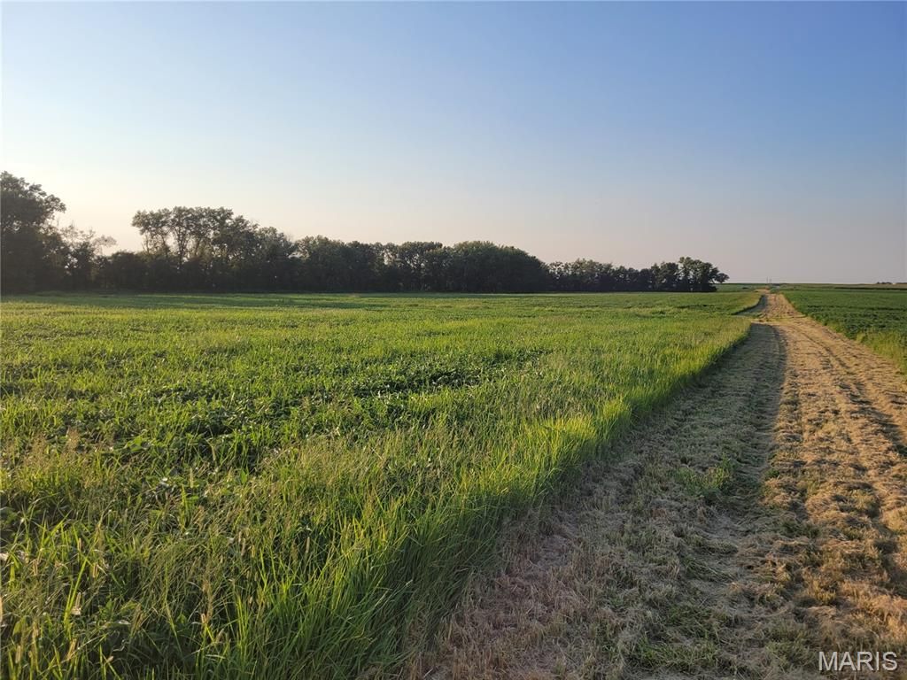 Photo of 0 Hwy DD (46+/- Ac) Tract F, Bellflower, MO 63333 (MLS # 26004409)