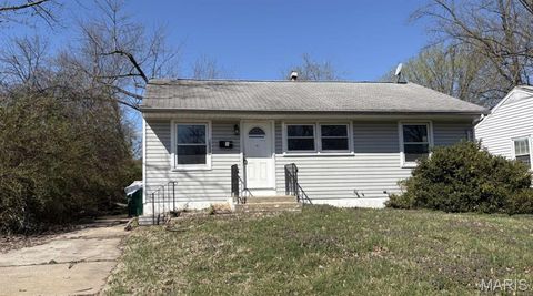Photo of 10337 Galloway Drive, Riverview, MO 63137 (MLS # 26030112)
