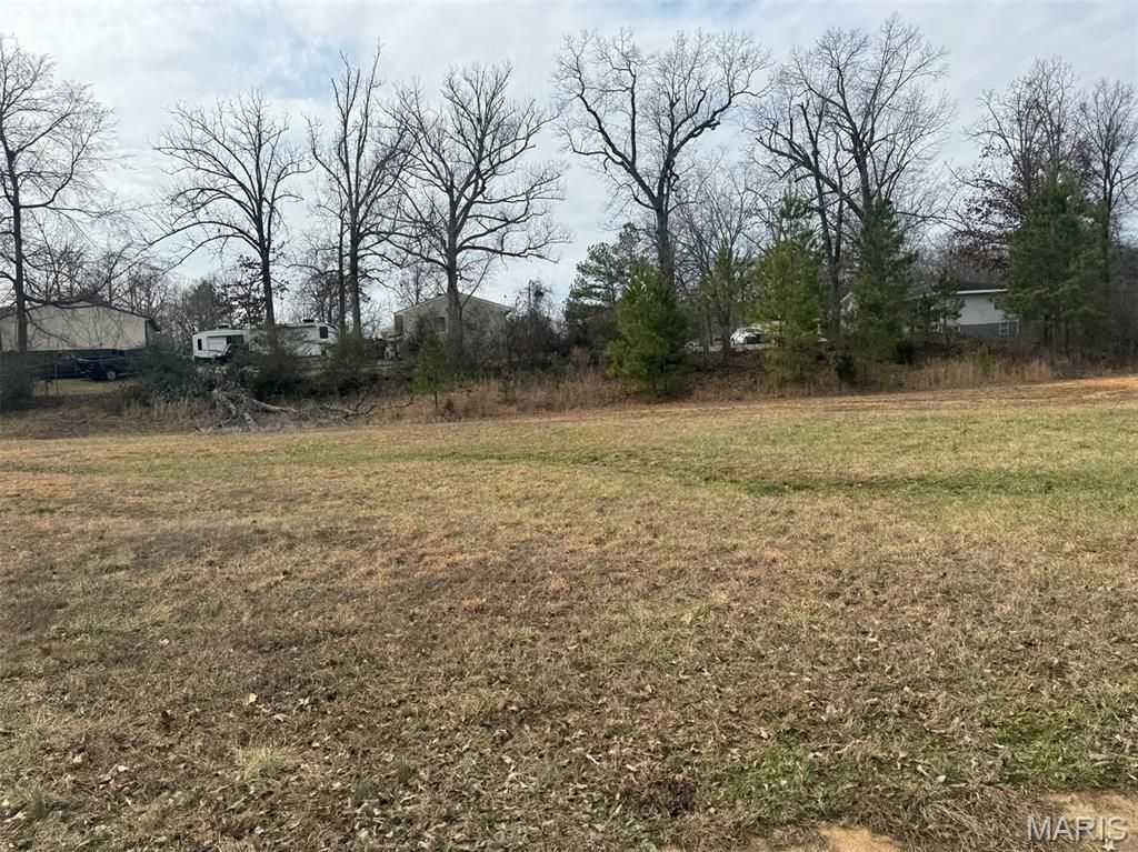 Photo of 19 Karmen Lane, Poplar Bluff, MO 63901 (MLS # 26013644)