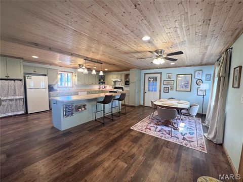 Tiny photo for 56481 Turner Acres PL, New London, MO 63459 (MLS # 26030518)