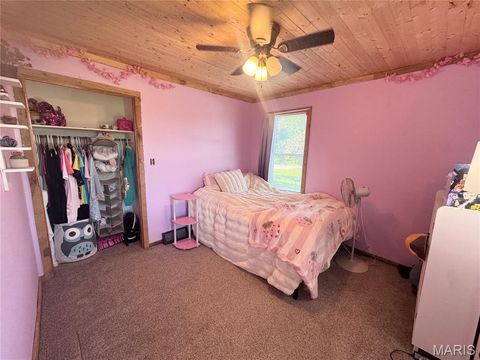 Tiny photo for 56481 Turner Acres PL, New London, MO 63459 (MLS # 26030518)