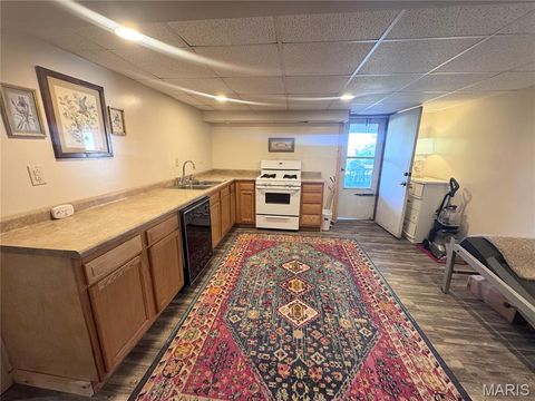 Tiny photo for 56481 Turner Acres PL, New London, MO 63459 (MLS # 26030518)