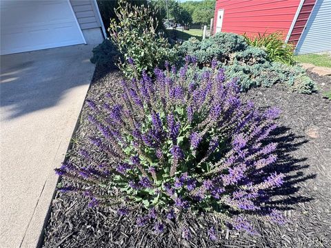 Tiny photo for 56481 Turner Acres PL, New London, MO 63459 (MLS # 26030518)