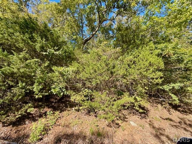 Lake Sherwood Estates - Land