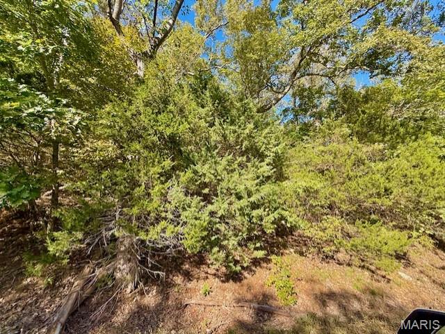 Lake Sherwood Estates - Land