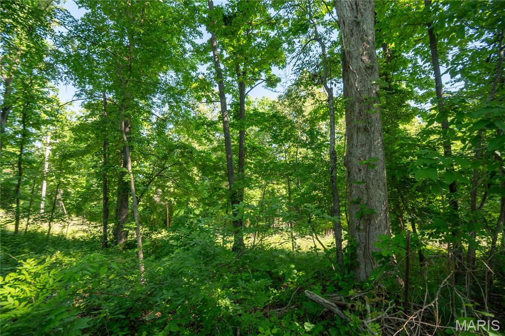 Shady Oaks - Residential