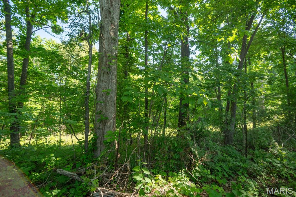 Shady Oaks - Residential