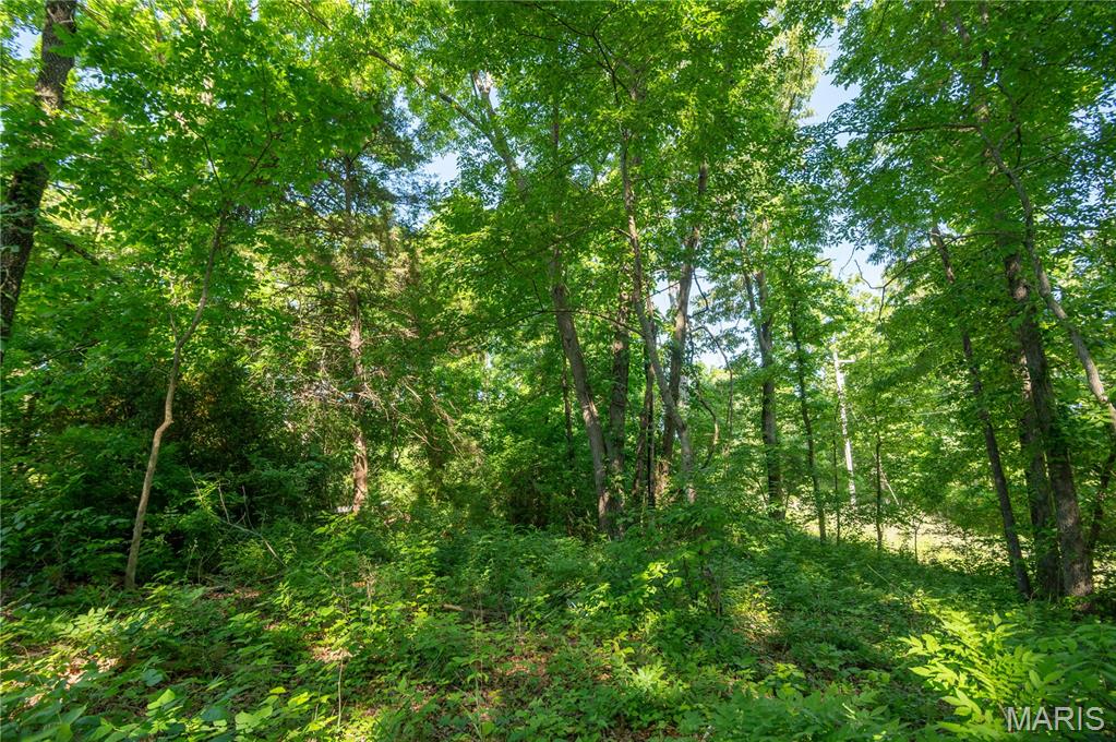 Shady Oaks - Residential