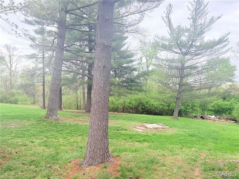Photo of 25274 S Lohman Road, Wright City, MO 63390 (MLS # 26022331)