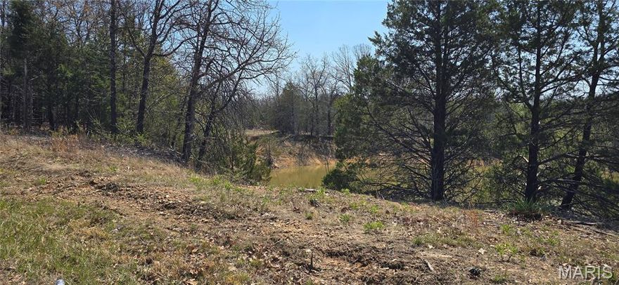 A rare opportunity to own a picturesque 9.87-acre parcel, offering the ultimate blank canvas for your dream home or weekend getaway. This remarkable property features a harmonious blend of flat, buildable areas and peaceful wooded expanses, providing both functional space and natural beauty. A serene pond adds a tranquil water feature, perfect for quiet reflection or abundant wildlife. Envision a custom residence nestled among the trees, with ample room for outdoor living, a sprawling garden, or recreational activities. Located in a desirable area, this private, secluded lot offers the perfect balance of serenity and accessibility.