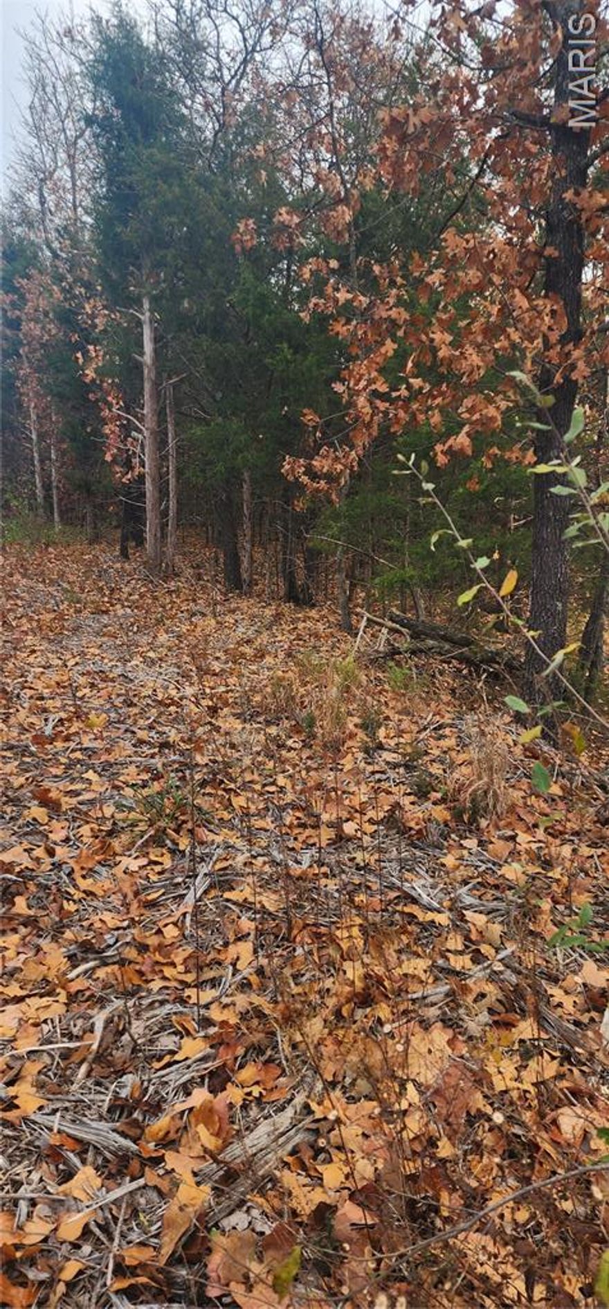 A rare opportunity to own a picturesque 9.87-acre parcel, offering the ultimate blank canvas for your dream home or weekend getaway. This remarkable property features a harmonious blend of flat, buildable areas and peaceful wooded expanses, providing both functional space and natural beauty. A serene pond adds a tranquil water feature, perfect for quiet reflection or abundant wildlife. Envision a custom residence nestled among the trees, with ample room for outdoor living, a sprawling garden, or recreational activities. Located in a desirable area, this private, secluded lot offers the perfect balance of serenity and accessibility.