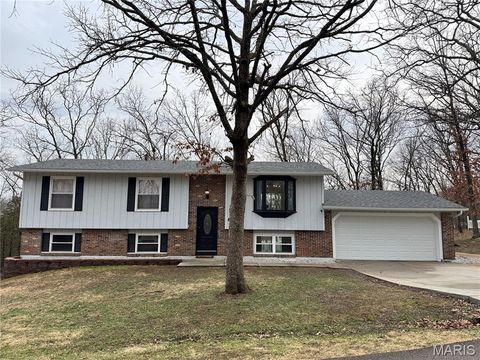 Photo of 8 Dogwood Lane, Hillsboro, MO 63050 (MLS # 26012020)