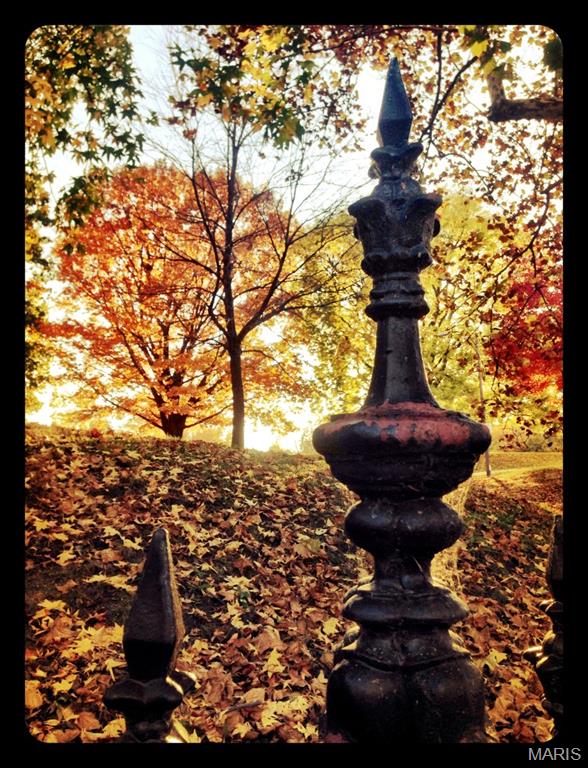 Lafayette Square - Residential