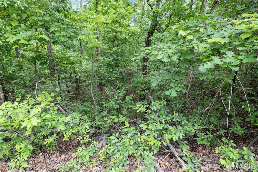 Horseshoe Bend 9 - Land