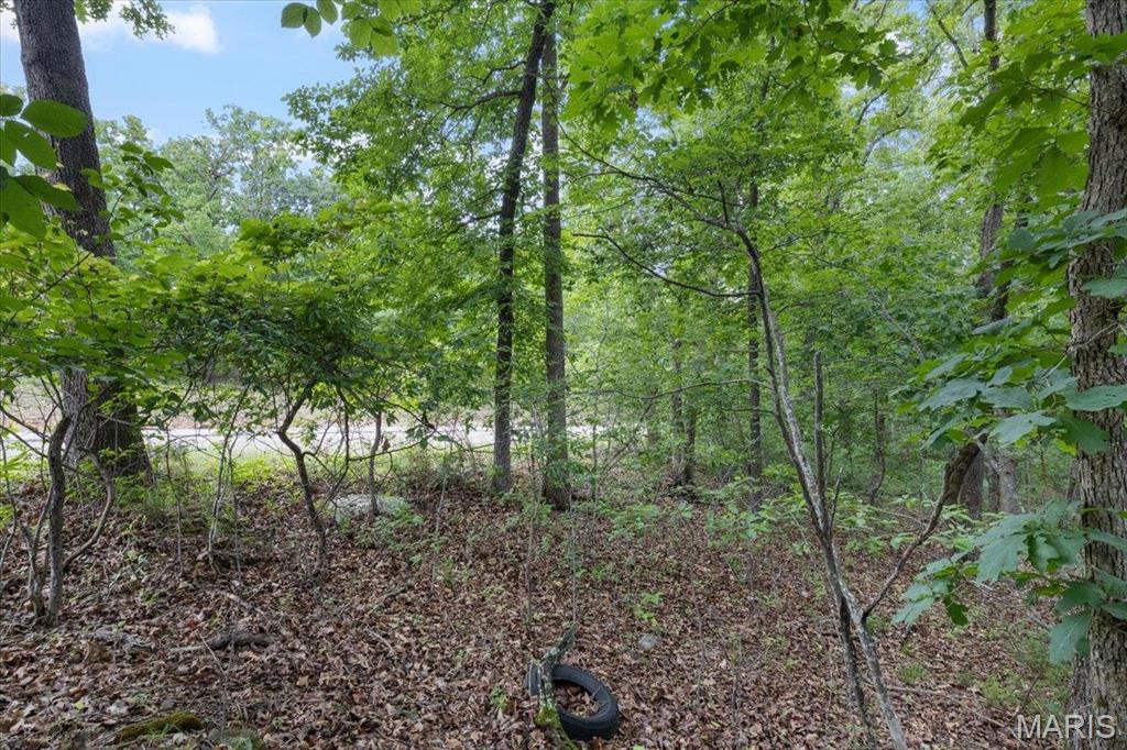 Horseshoe Bend 9 - Land