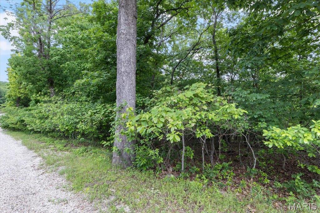 Horseshoe Bend 9 - Land