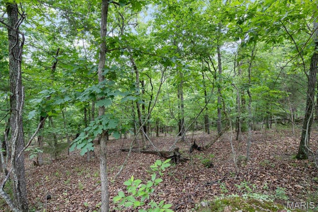 Horseshoe Bend 9 - Land