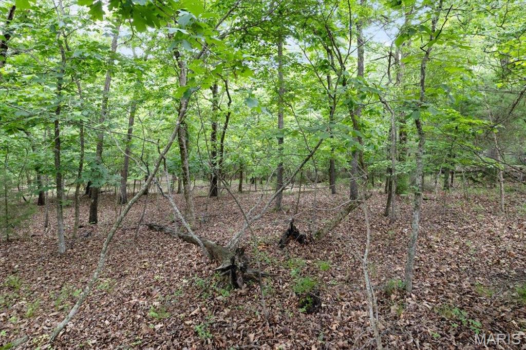 Horseshoe Bend 9 - Land