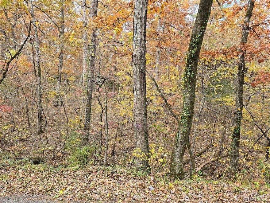 Wooded lot that Fronts approximately 528 ft of Brushy Creek. Building spots throughout property. Mixture of Pine an Oak. Just outside of City limits.