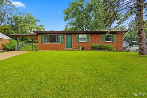 Photo of 36 Reinke Road, Ellisville, MO 63021 (MLS # 26045413)