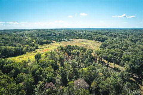 Tiny photo for 5225 Engledow Road, De Soto, MO 63020 (MLS # 25068105)