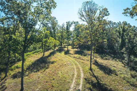 Tiny photo for 5225 Engledow Road, De Soto, MO 63020 (MLS # 25068105)