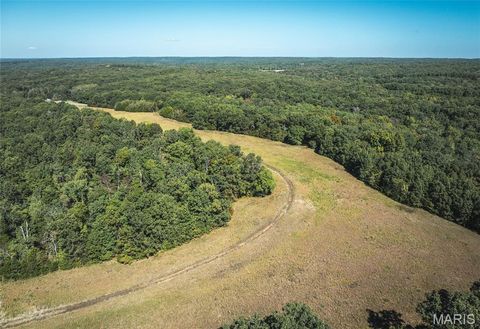 Photo of 5225 Engledow Road, De Soto, MO 63020 (MLS # 25068105)