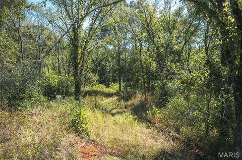 Tiny photo for 5225 Engledow Road, De Soto, MO 63020 (MLS # 25068105)