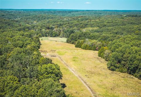 Tiny photo for 5225 Engledow Road, De Soto, MO 63020 (MLS # 25068105)
