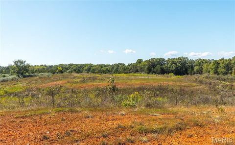 Tiny photo for 5225 Engledow Road, De Soto, MO 63020 (MLS # 25068105)